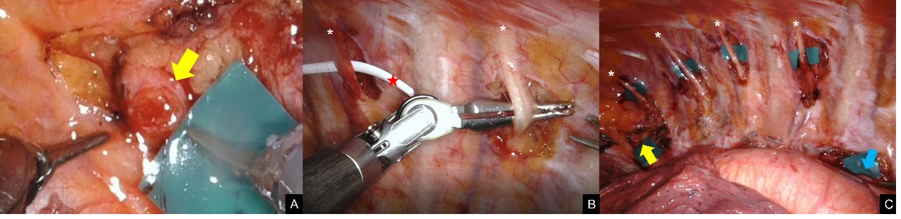 Figure 3.jpg